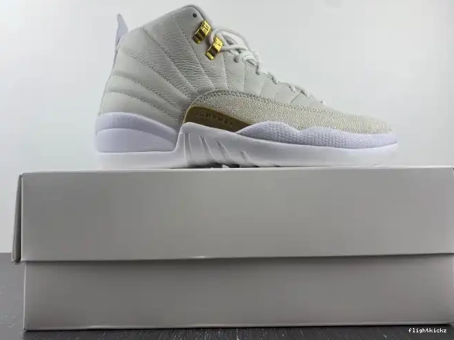 Retro White 873864-102 Jordan OVO 12 0614